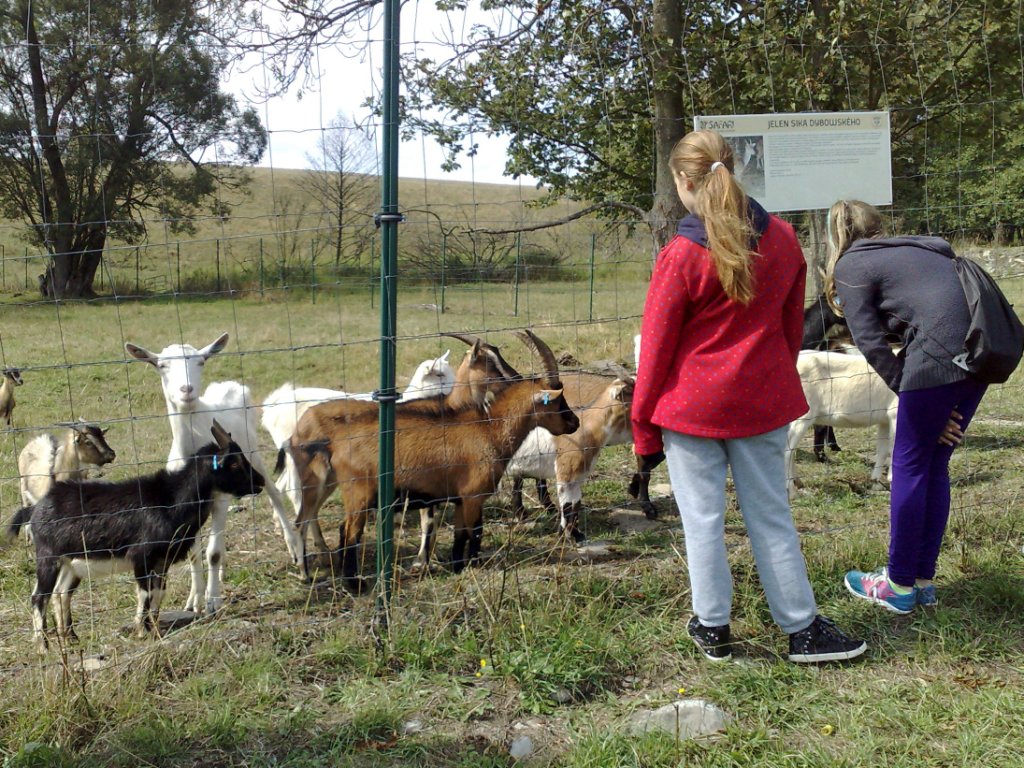 15 Valášek soustředění 201509